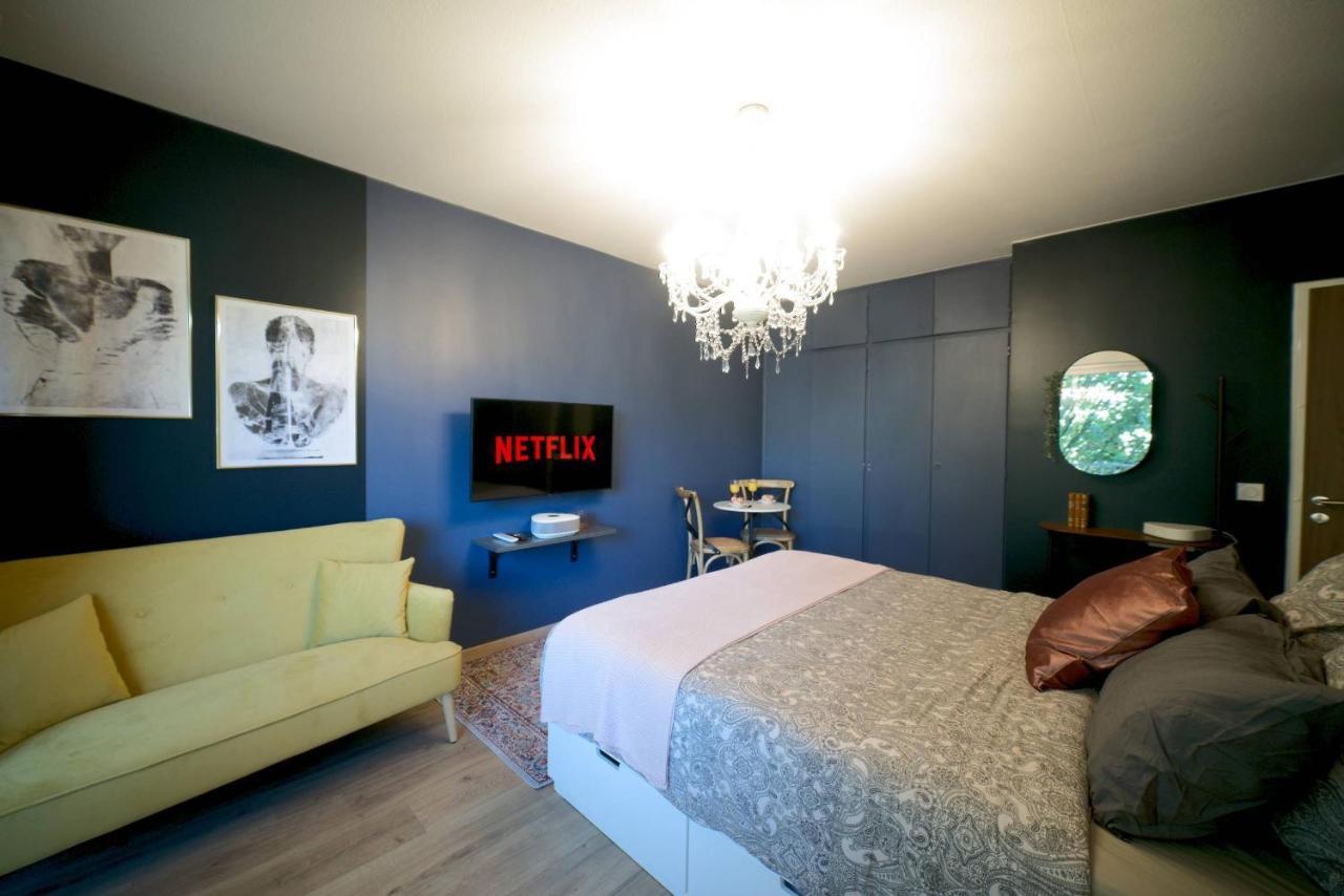 Le Boudoir, Centre Ville, Parking Couvert Inclus Mulhouse Exteriör bild